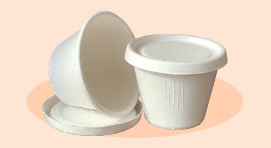 Sugarcane Sauce Cups & Lids