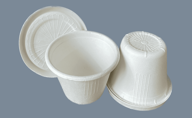 Sugarcane Sauce Cups & Lids