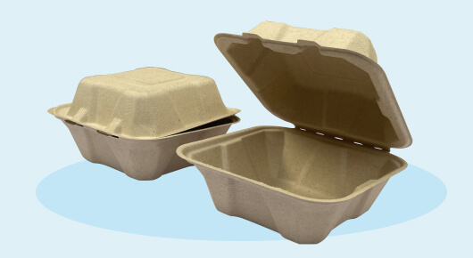 Square Sugarcane Box 6 x 6 inch