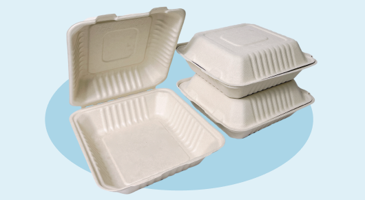 Square Sugarcane Box 8 x 8 inch