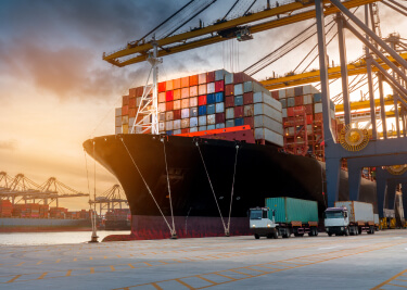 Fast and reliable shipping, anywhere in the world.