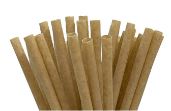 Sugarcane Straws