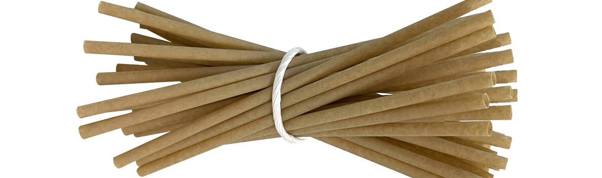 Sugarcane Straws
